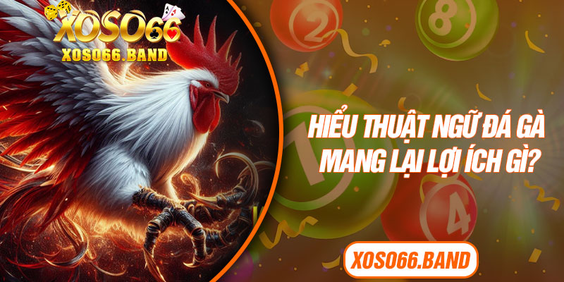 Hiểu thuật ngữ đá gà mang lại lợi ích gì? 